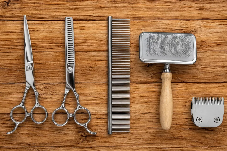 Ciseaux, peigne, brosse et tête de tondeuse de toiletteur alignés sur un plan de travail